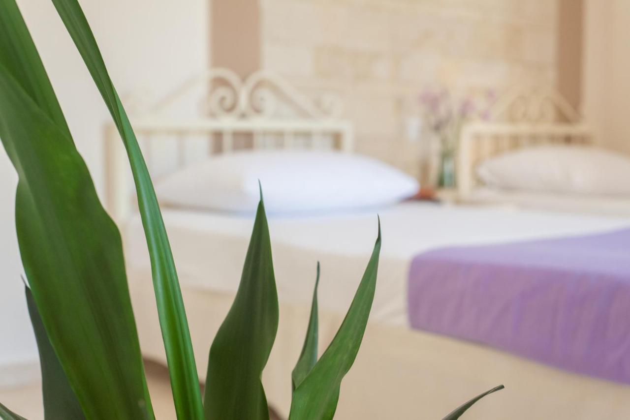 Le Palme Apartman Mália Kültér fotó