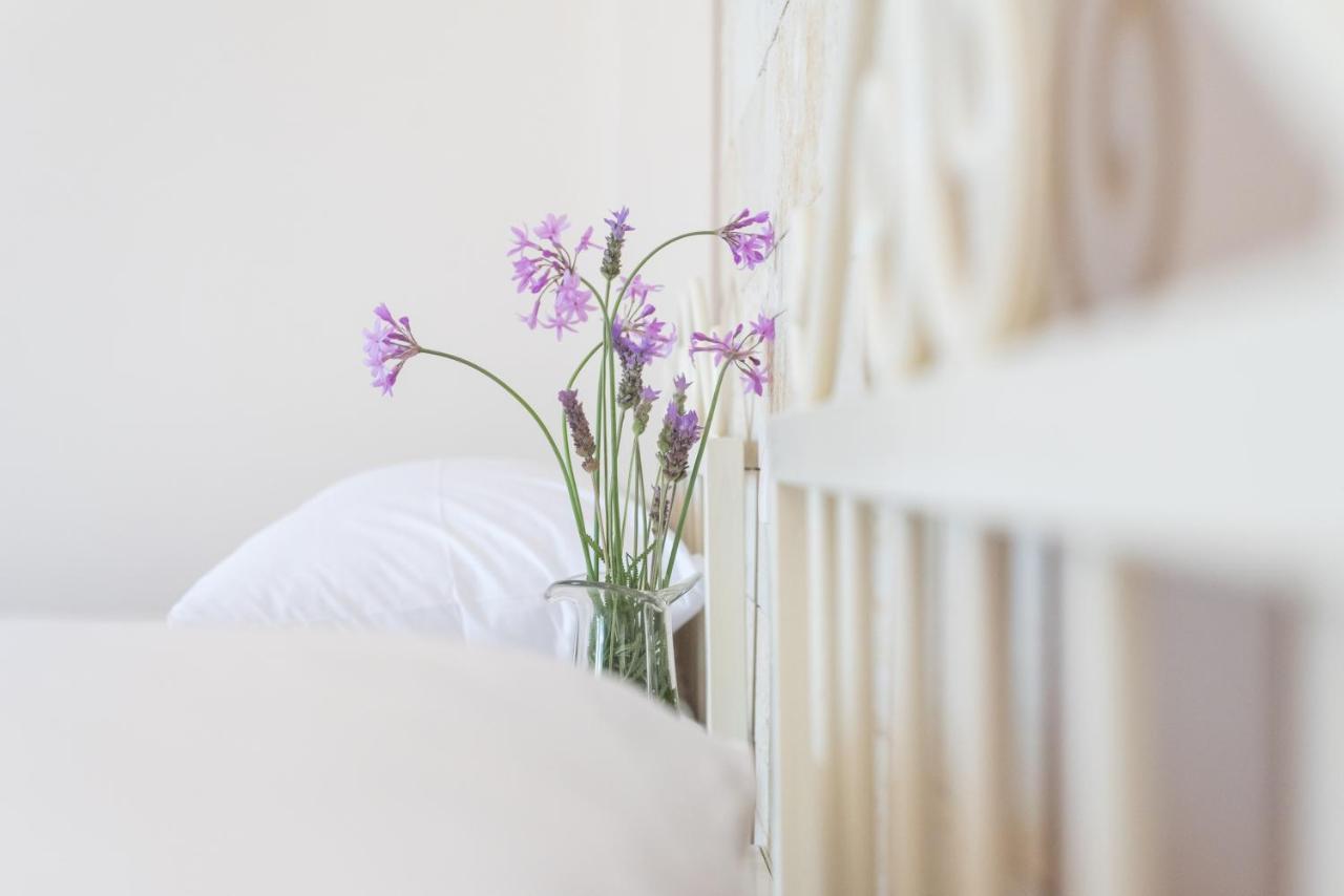 Le Palme Apartman Mália Kültér fotó